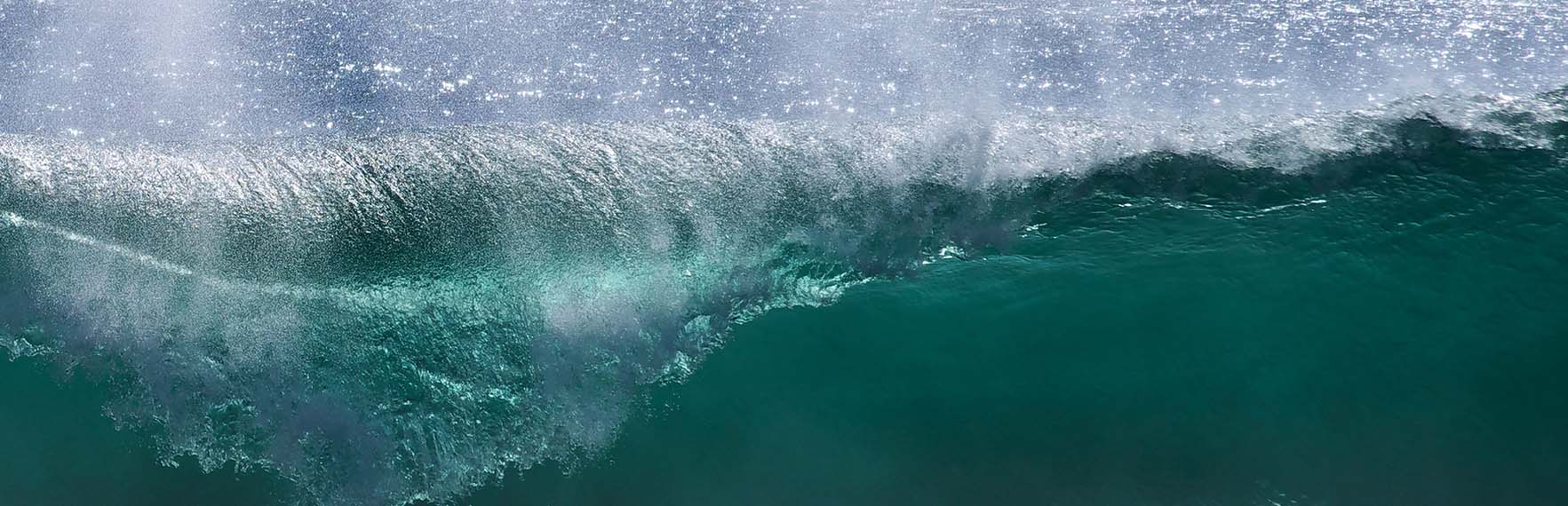 Course Image Quick Start Guide to Sustainable Living