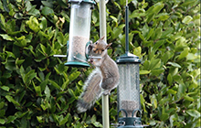 Course Image Video: Whose planet is it?